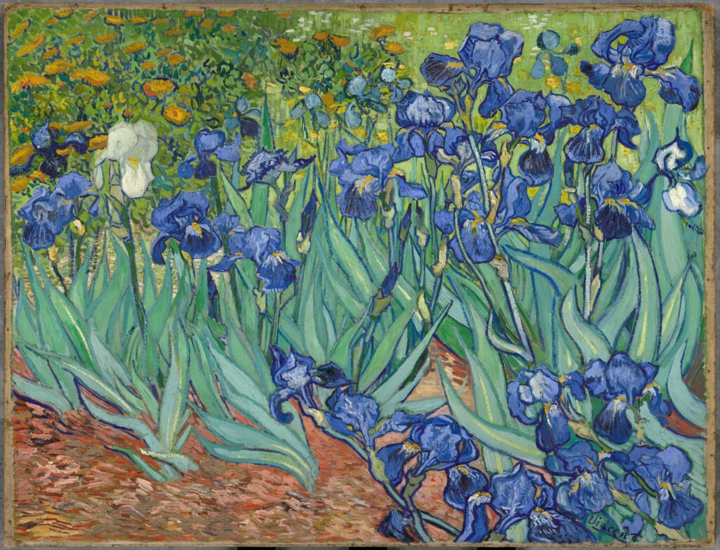 van gogh irises, 1889